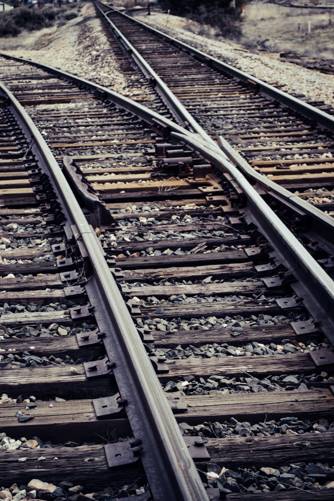 Rail lines separating and crossing at a switching point.